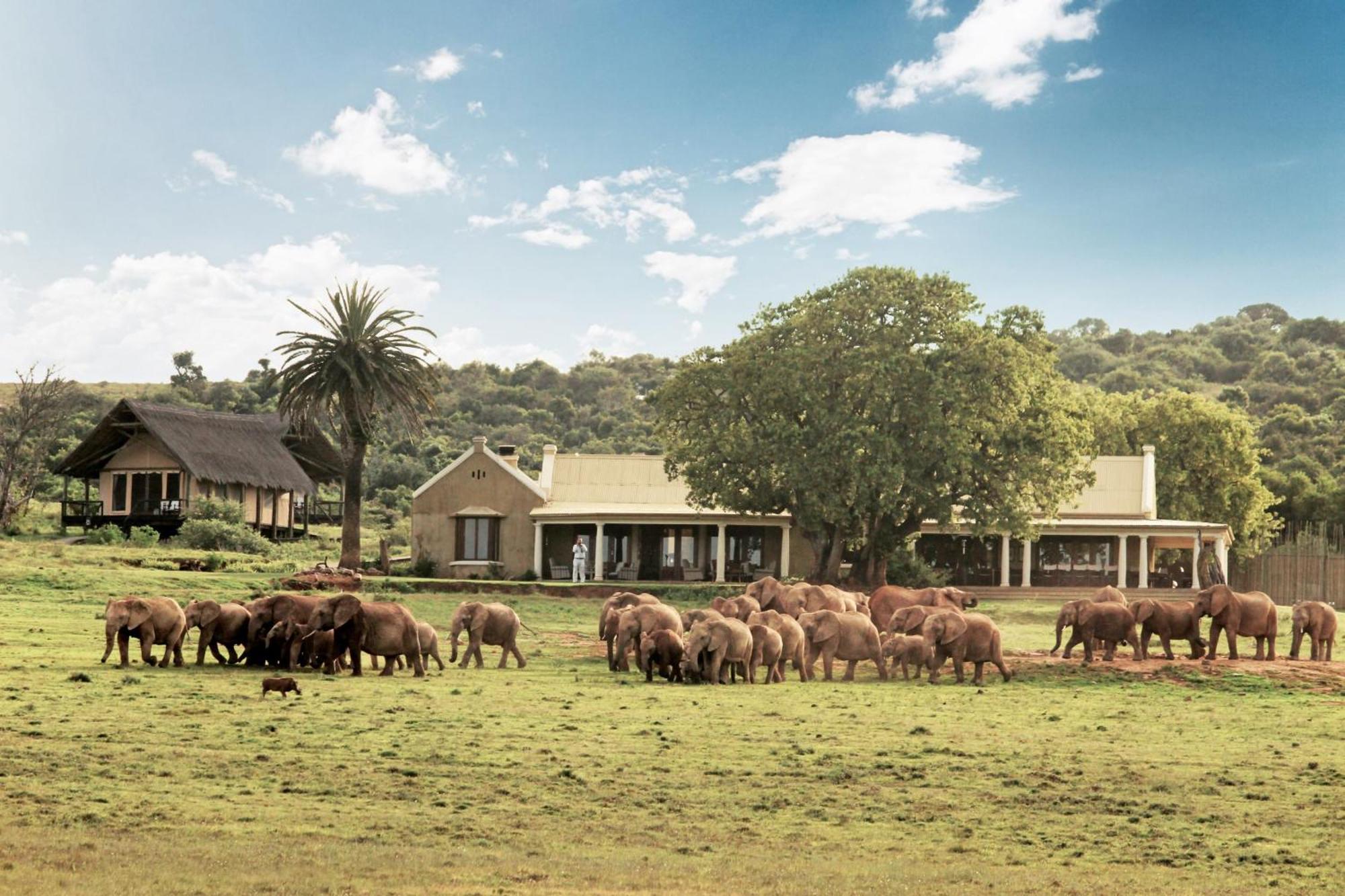 Gorah Elephant Camp Addo Exterior foto